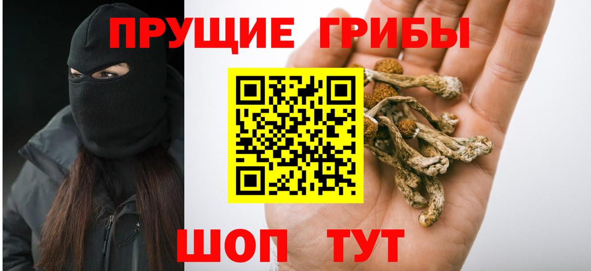 Галлюциногенные грибы прущие грибы Алексеевка