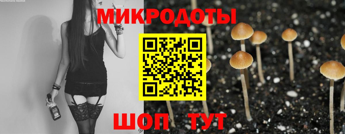 Алексеевка  Псилоцибиновые грибы Magic Shrooms  Вход с VPN 
